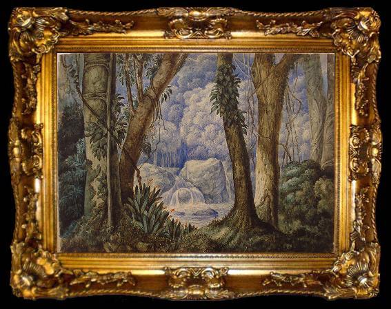 framed  Santo angelo Brazilian Jungle,, ta009-2